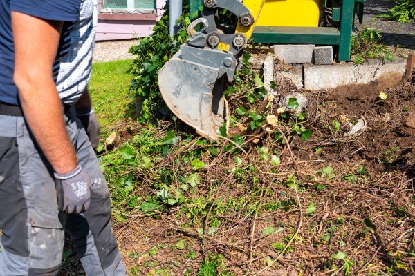 Hedge Removal Service in New Braunfels