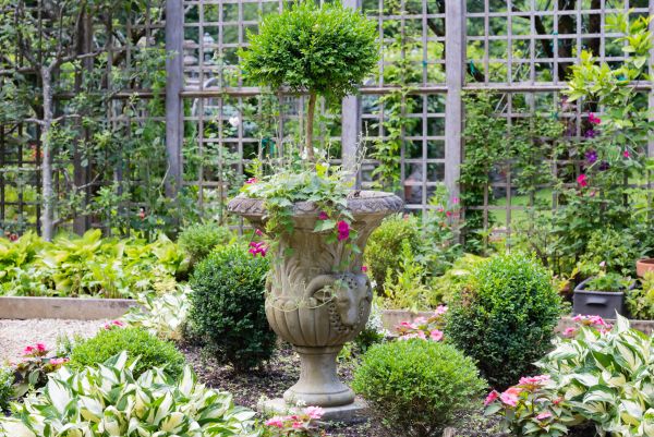 Topiary Pruning in New Braunfels