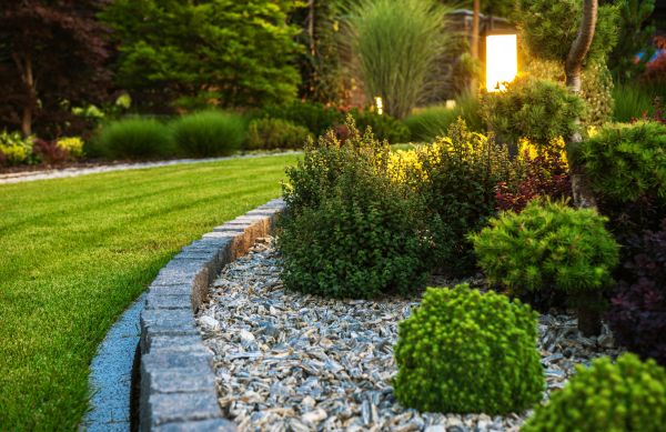 Cost of Bush Relocation in New Braunfels