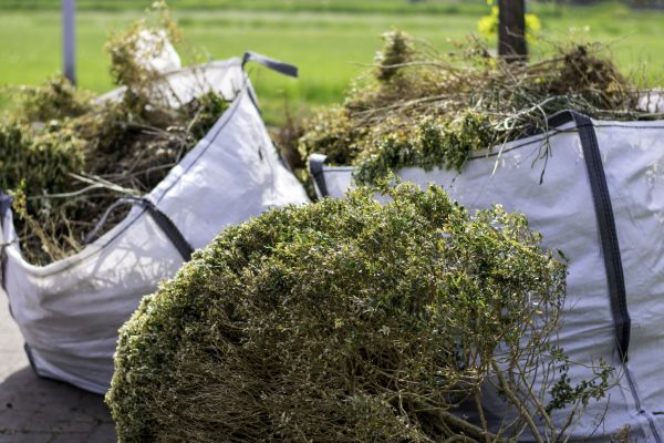 Shrubs Removal in New Braunfels