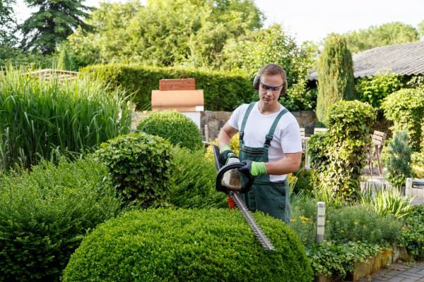 Shrubs Trimming in New Braunfels